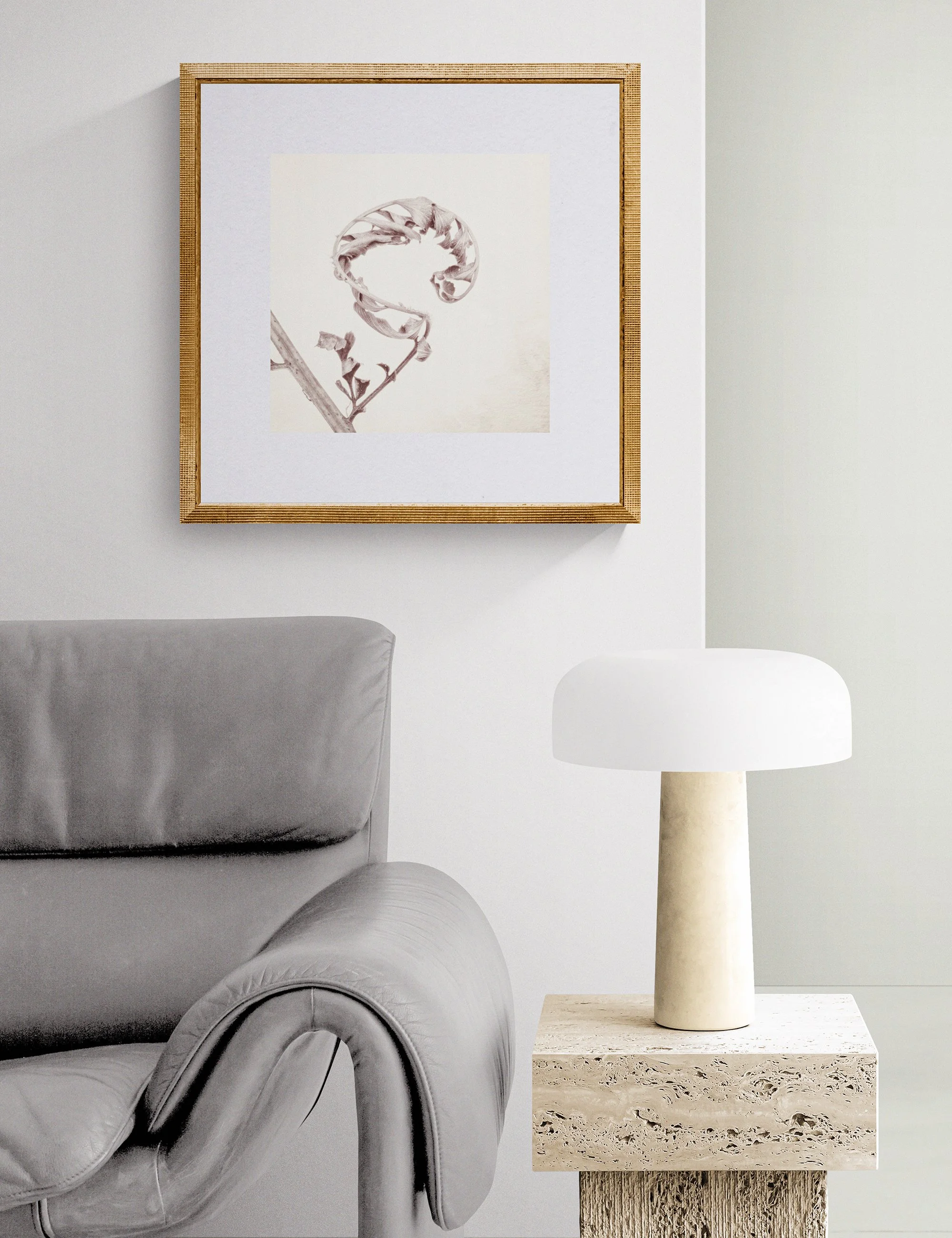 Fronded Forms limited edition botanical photograph by Ian J. Muirhead Arts, displayed in a contemporary reading corner with a sculptural lounge chair, stone side table and soft neutral tones.