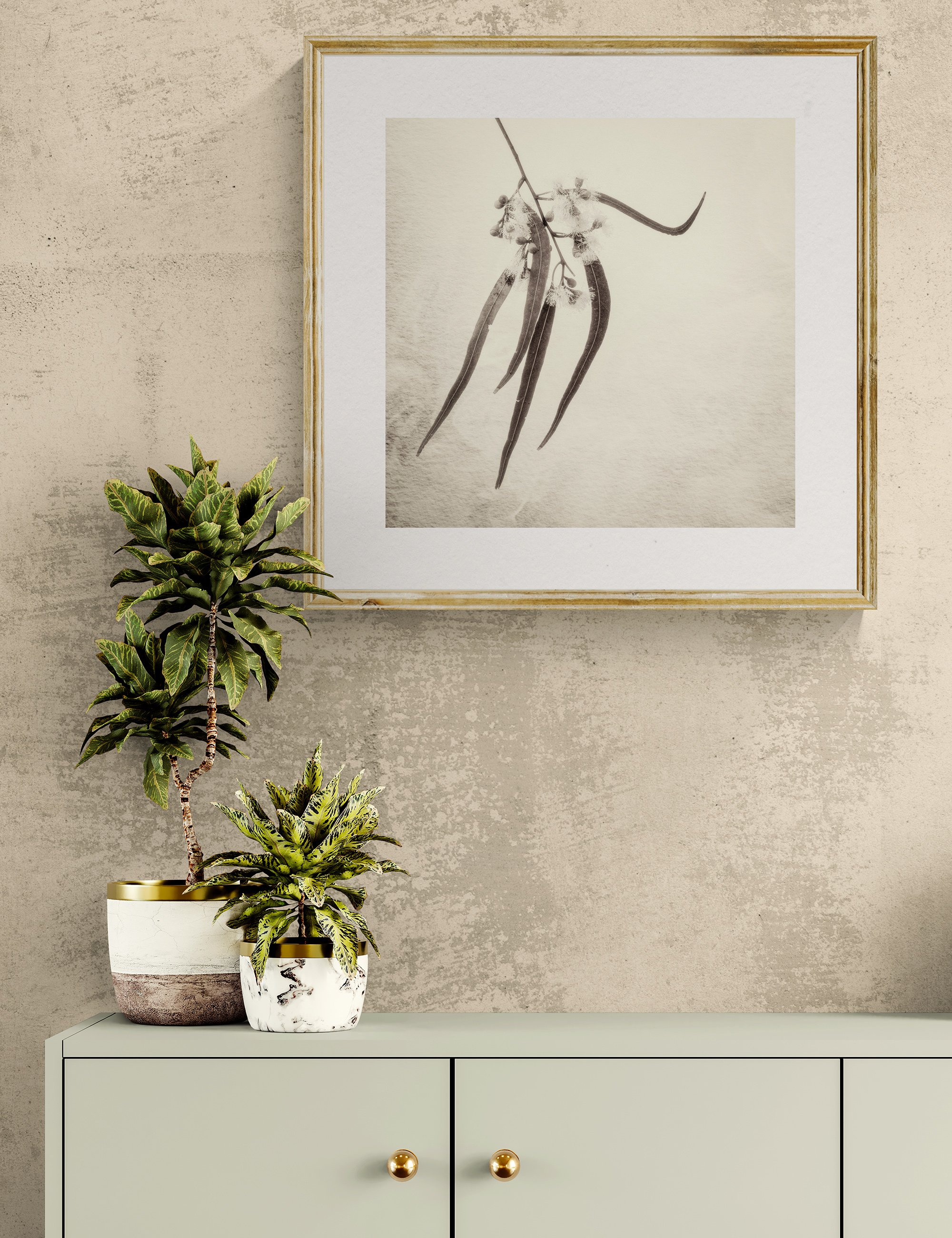 ”Botanica Ballet" from the Gumnut Gestures series by Ian J. Muirhead Arts, displayed in a contemporary interior above a minimalist cabinet with botanical styling and a light timber frame.