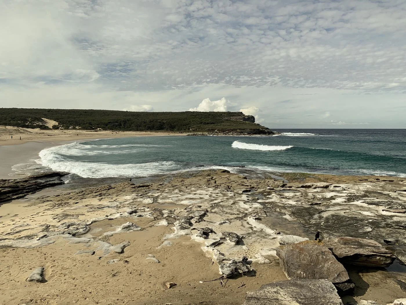 royal-national-park_13.jpg