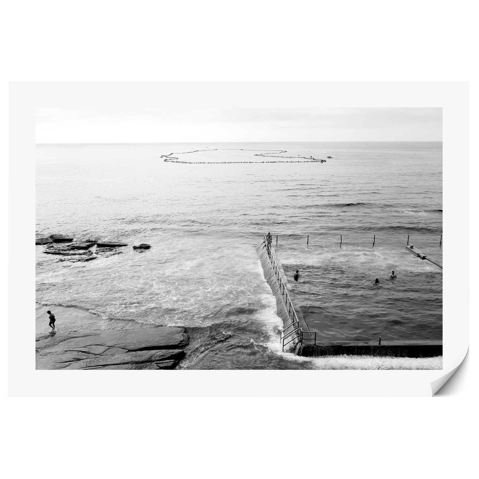 LI_SC_Paddleout_6_print_-CS.png