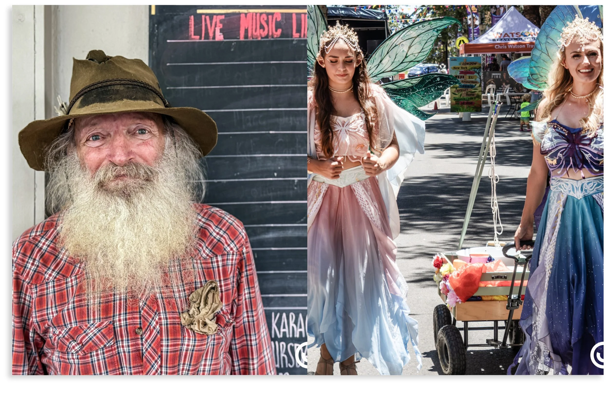 Li-8 x 5-TAMWORTH.jpg