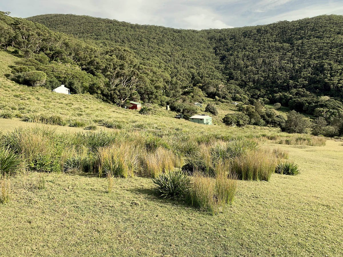 royal-national-park_3.jpg