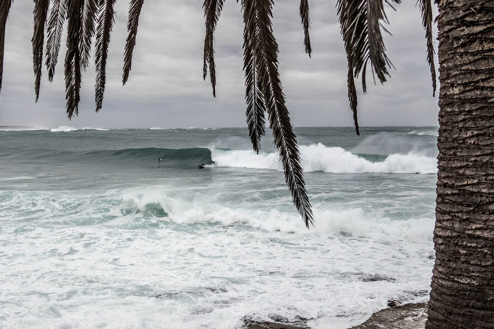 CRONULLA-MARCH-SWELL_5.jpg