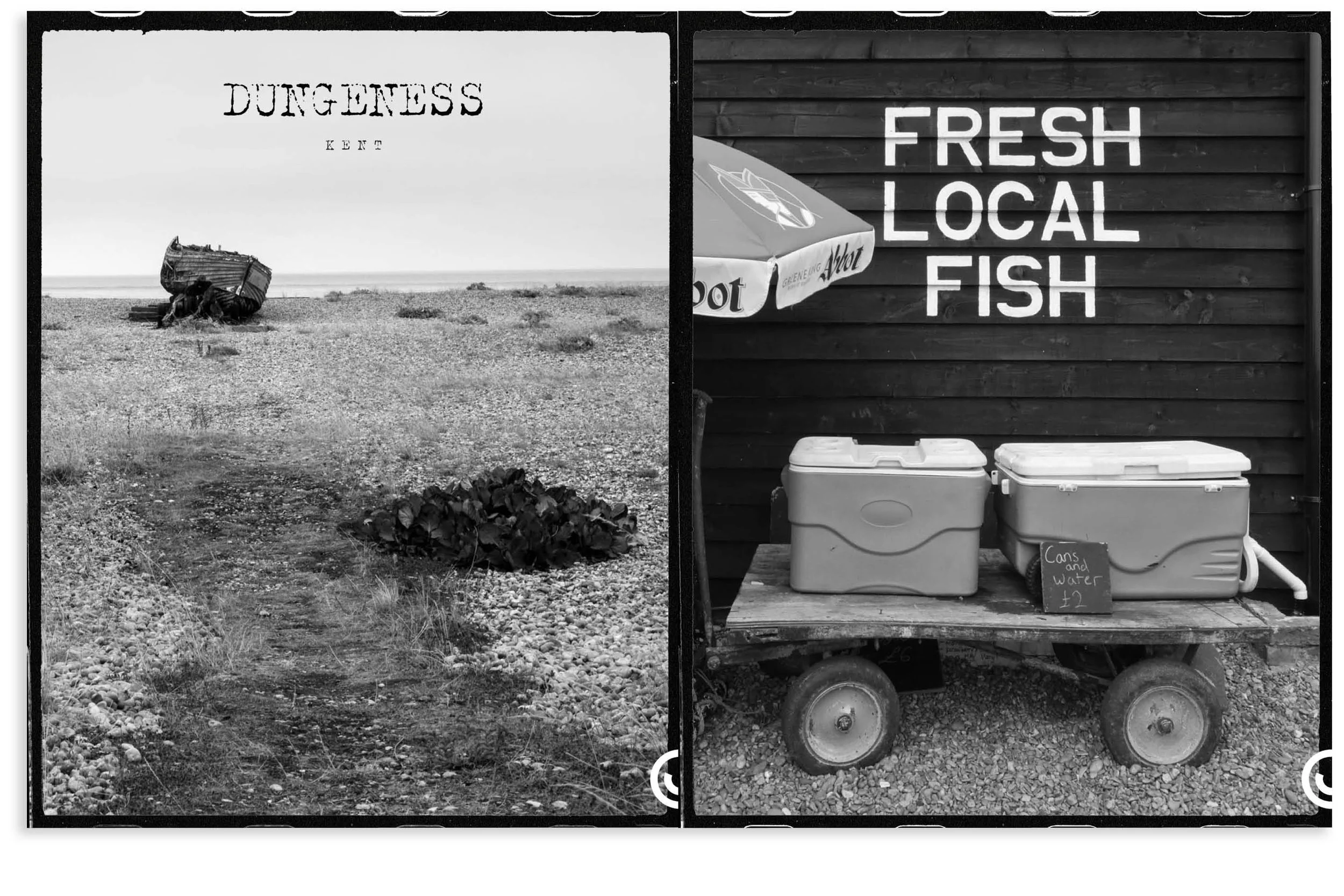 Li HP INSTA 8 x 5 DUNGENESS.jpg