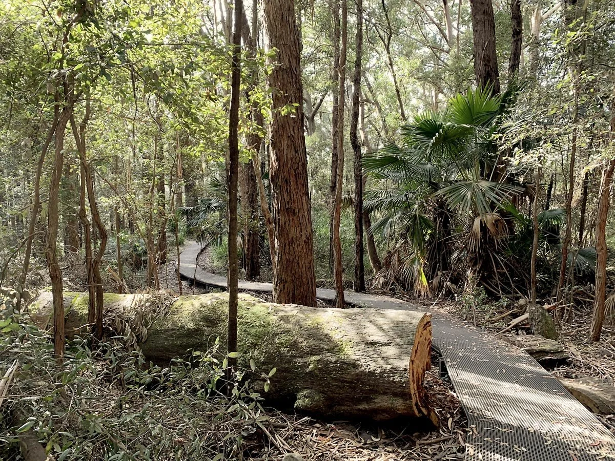 royal-national-park_1.jpg