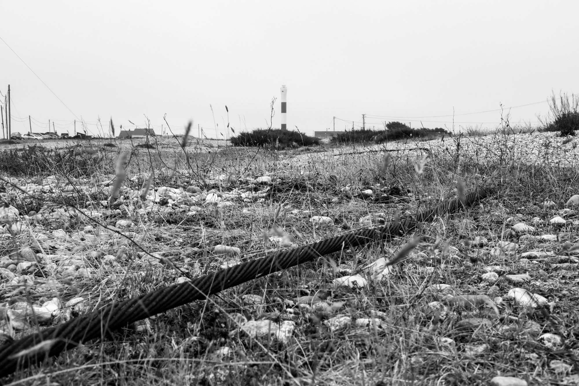 dungeness_13.jpg