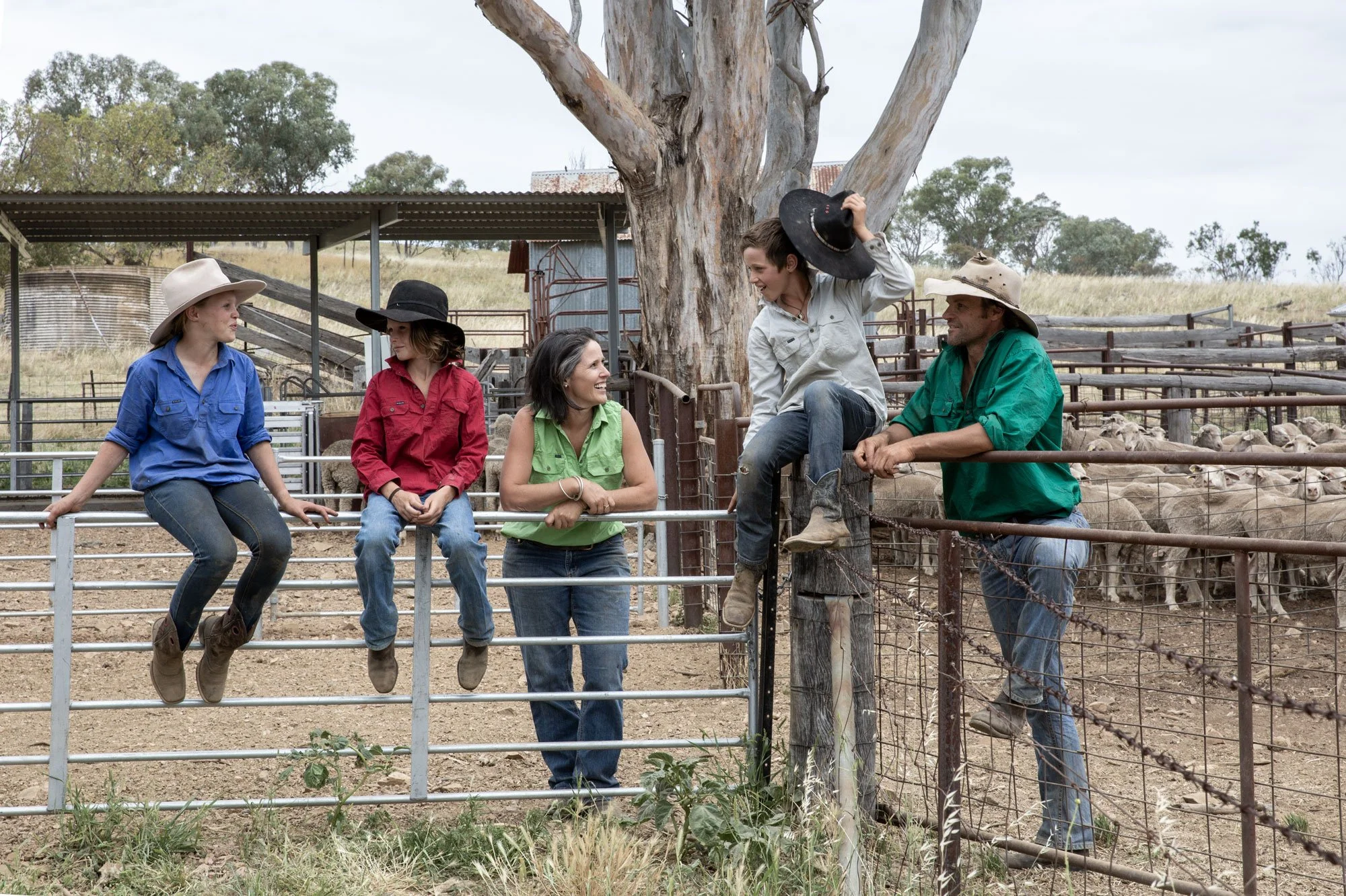 CLIENT - SUDLER (PETER WOODS) FOR VIRBAC / CYDECTIN© FARM PRODUCTS. 