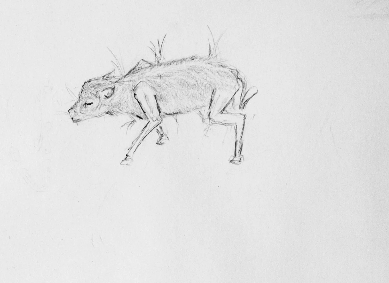 23.10.04_______________________pencil_on_paper_270_195_02_.jpg