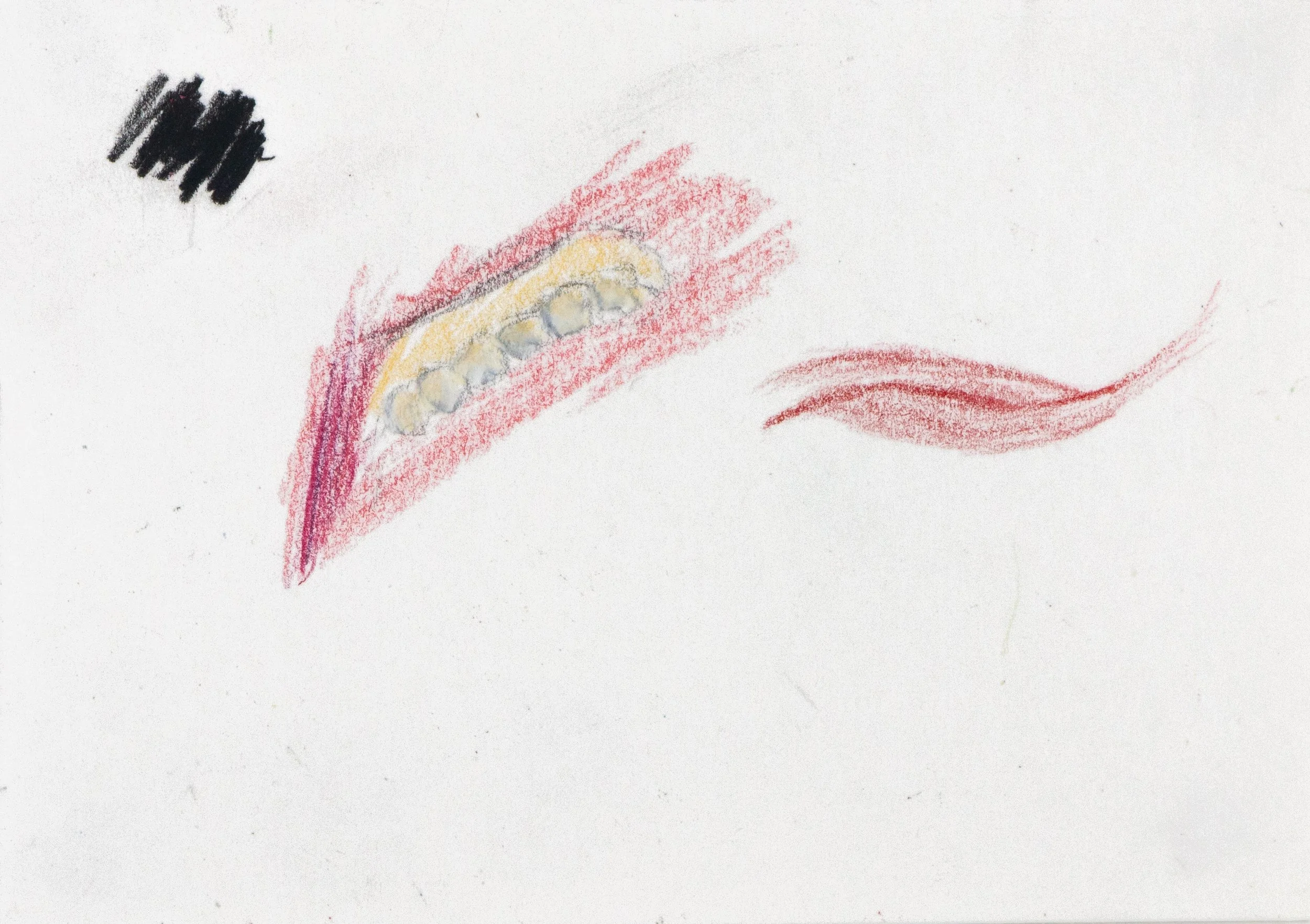 23.10.17_______________________colorpencil_135x100_1.jpg