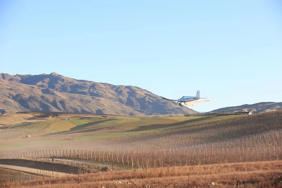 Plane flying fert on.jpg