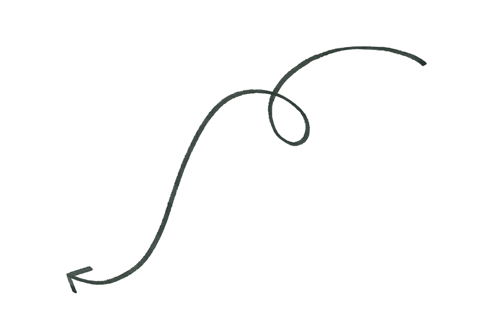 An annotation of a stylized curve, representing a stochastic process or a mathematical function, with an arrow indicating the direction of the curve.