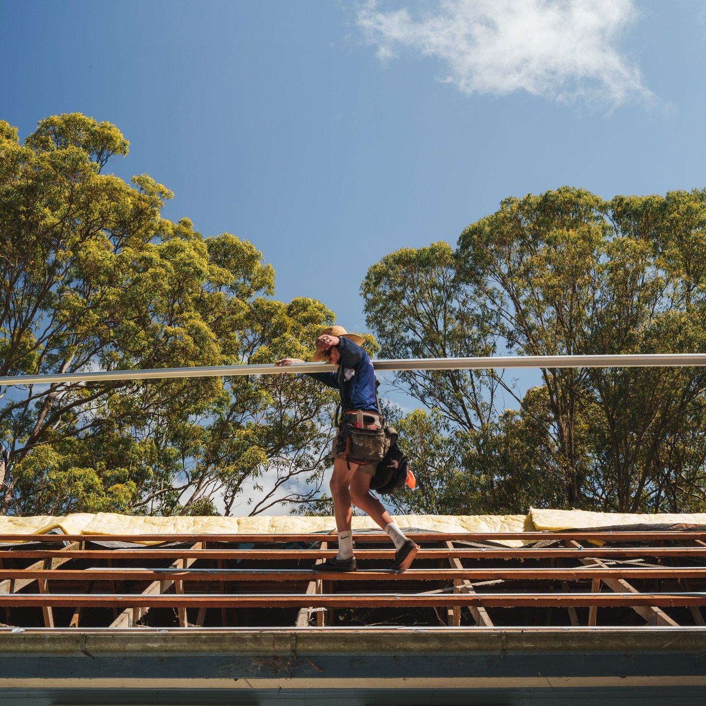 Stripped back to the frame. 
Built back with intent. 

Every sheet laid with precision. 

_ 
#roofing #roofrestoration #sunshinecoastbuilder #roofreplacement #colorbondsteel