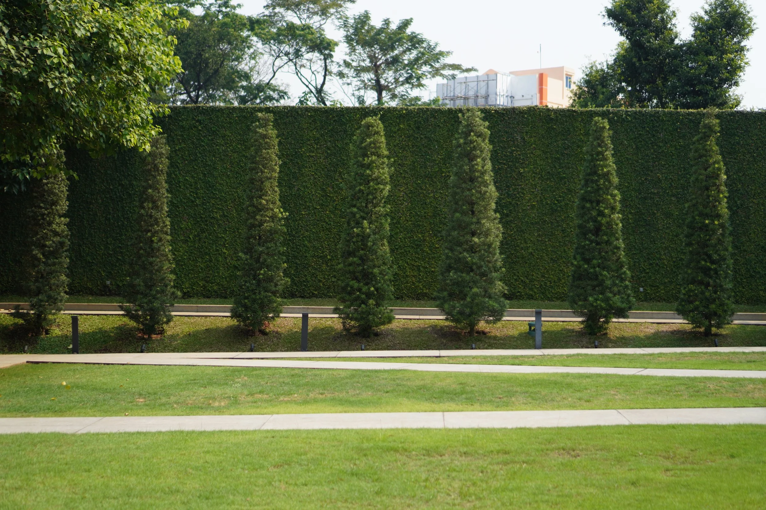 Trees