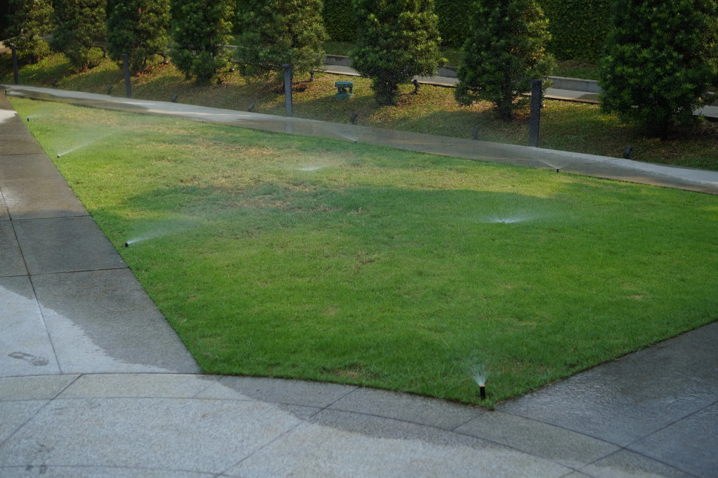 Grass