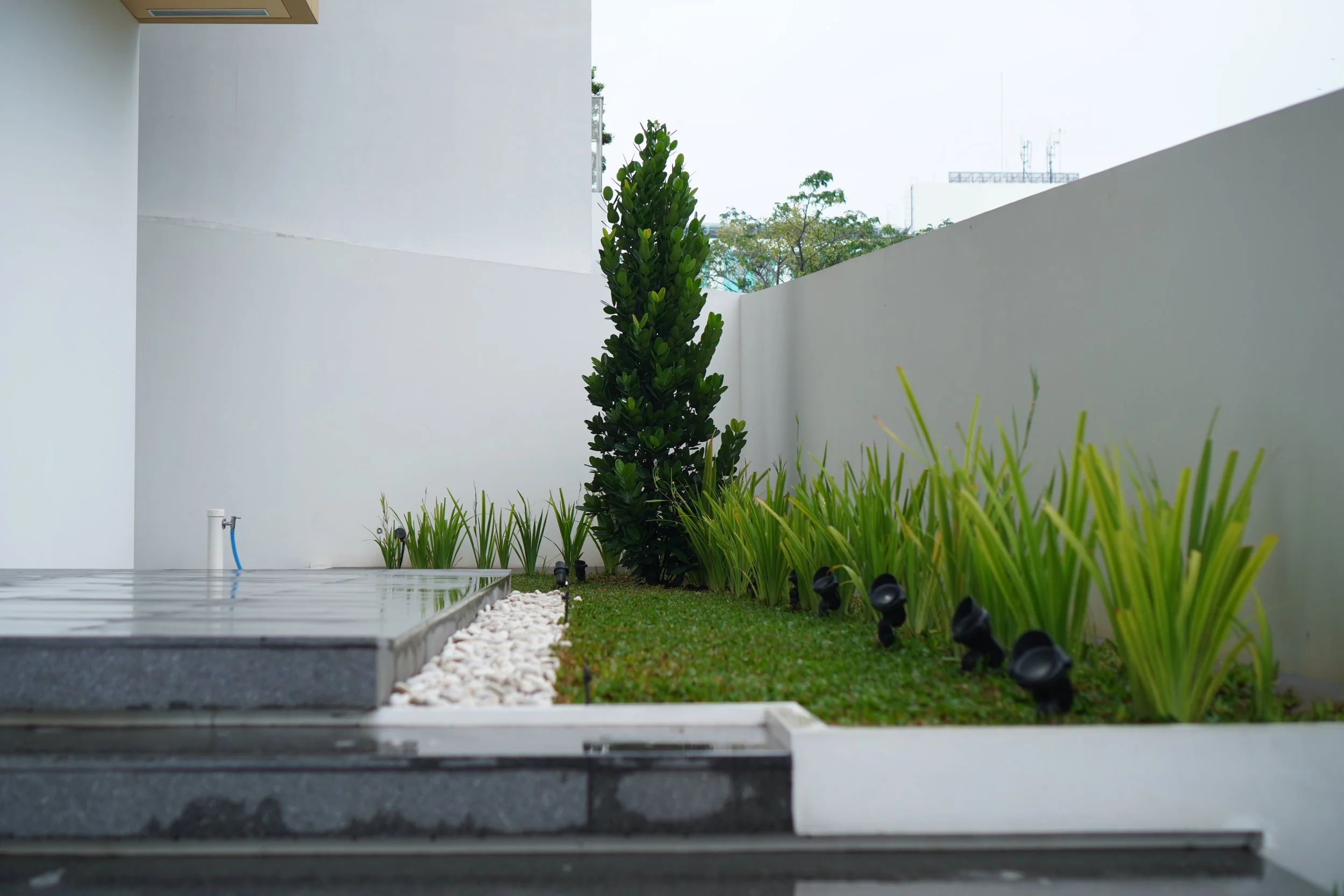 AWR00819.JPG