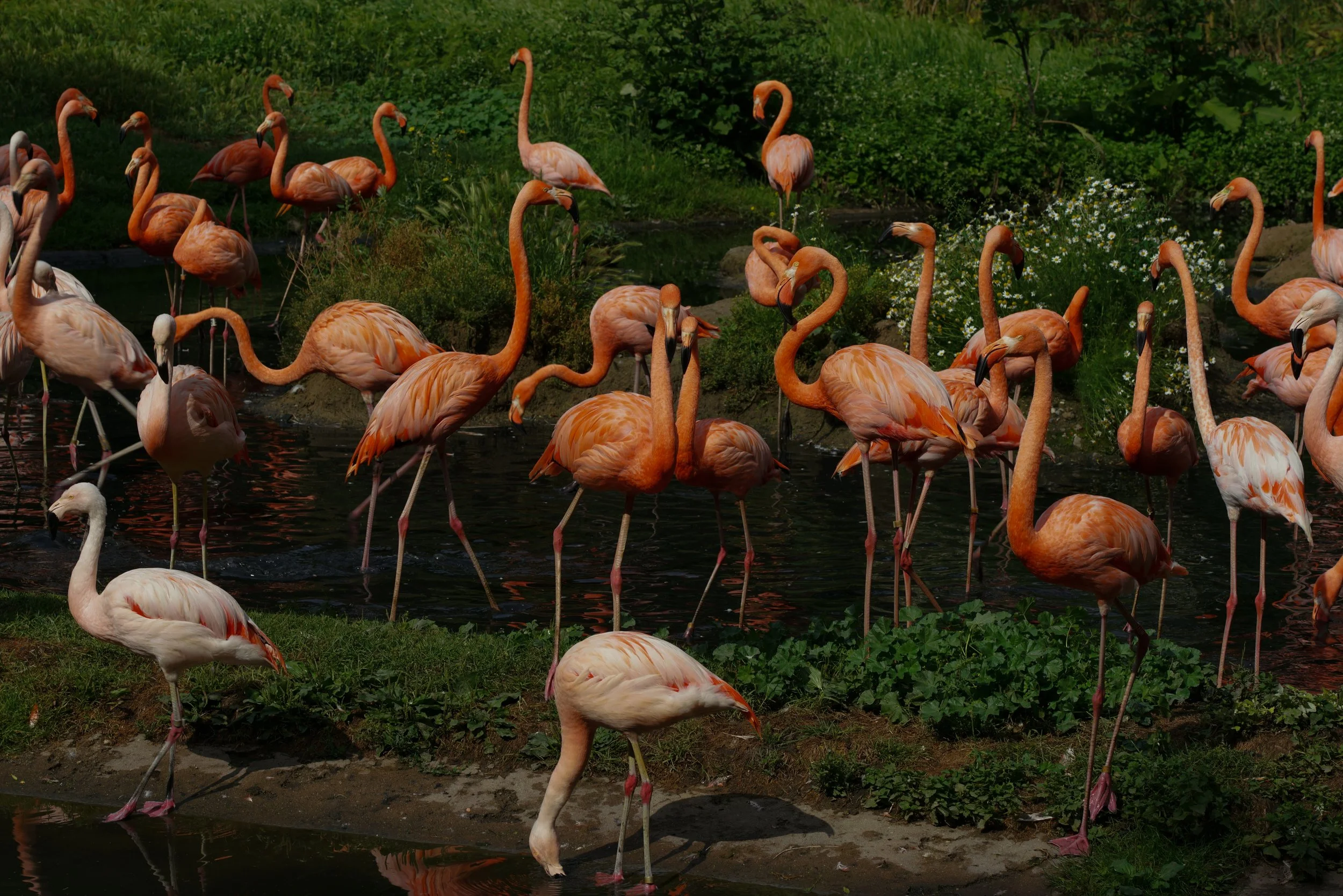 Expeditions, Adventure & Safaris