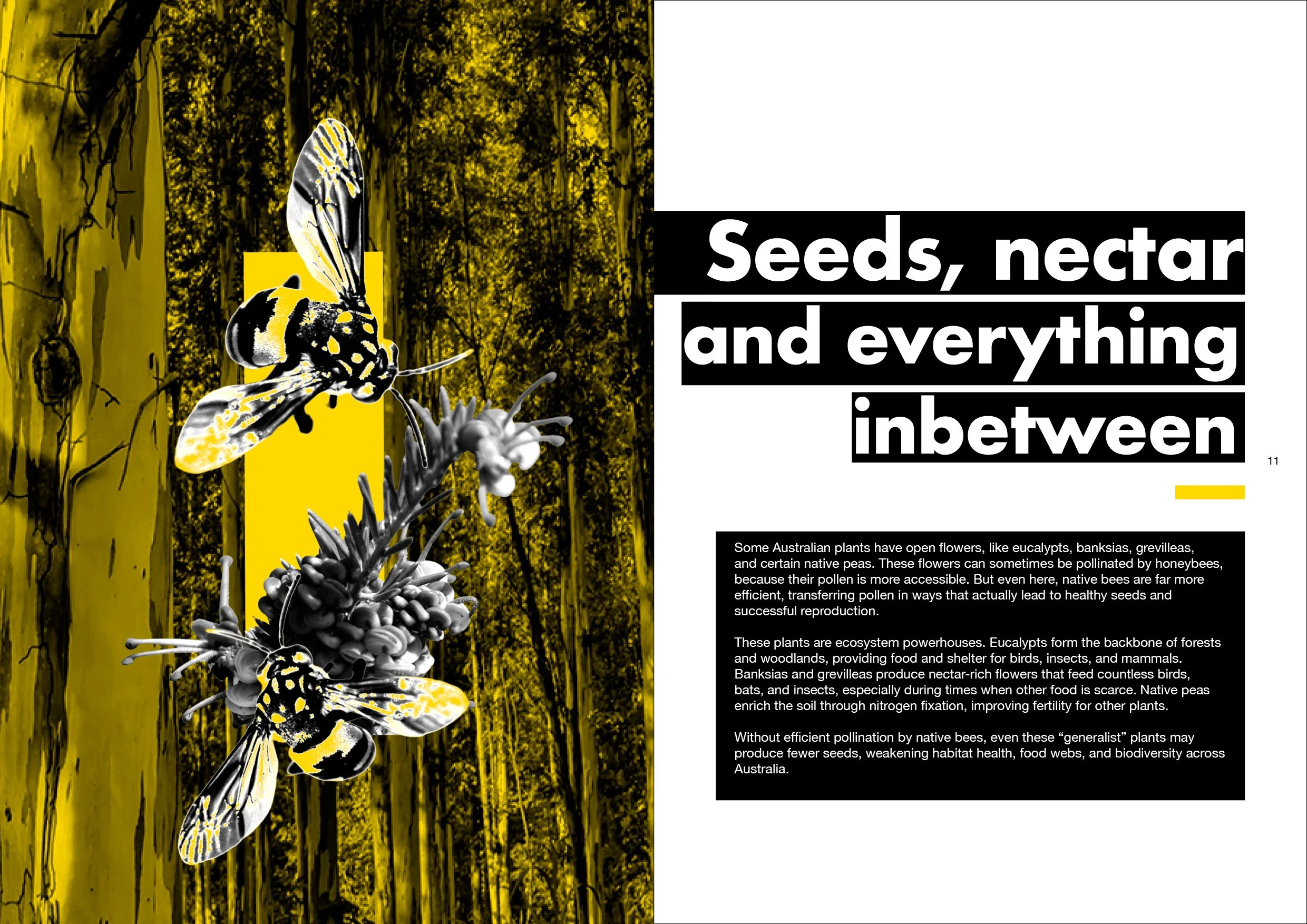 to bee or not to bee6.jpg