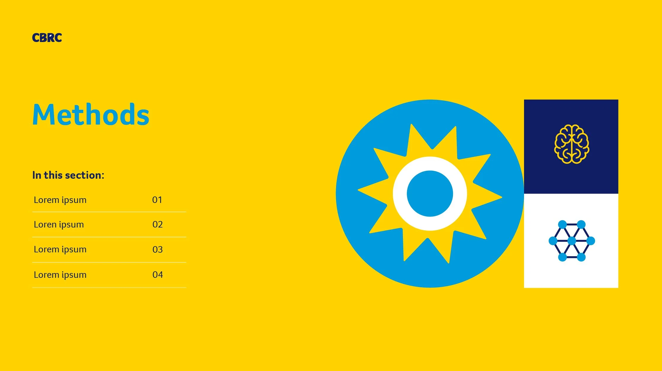 CBRC logo file [Recovered]_methods - section b.jpg