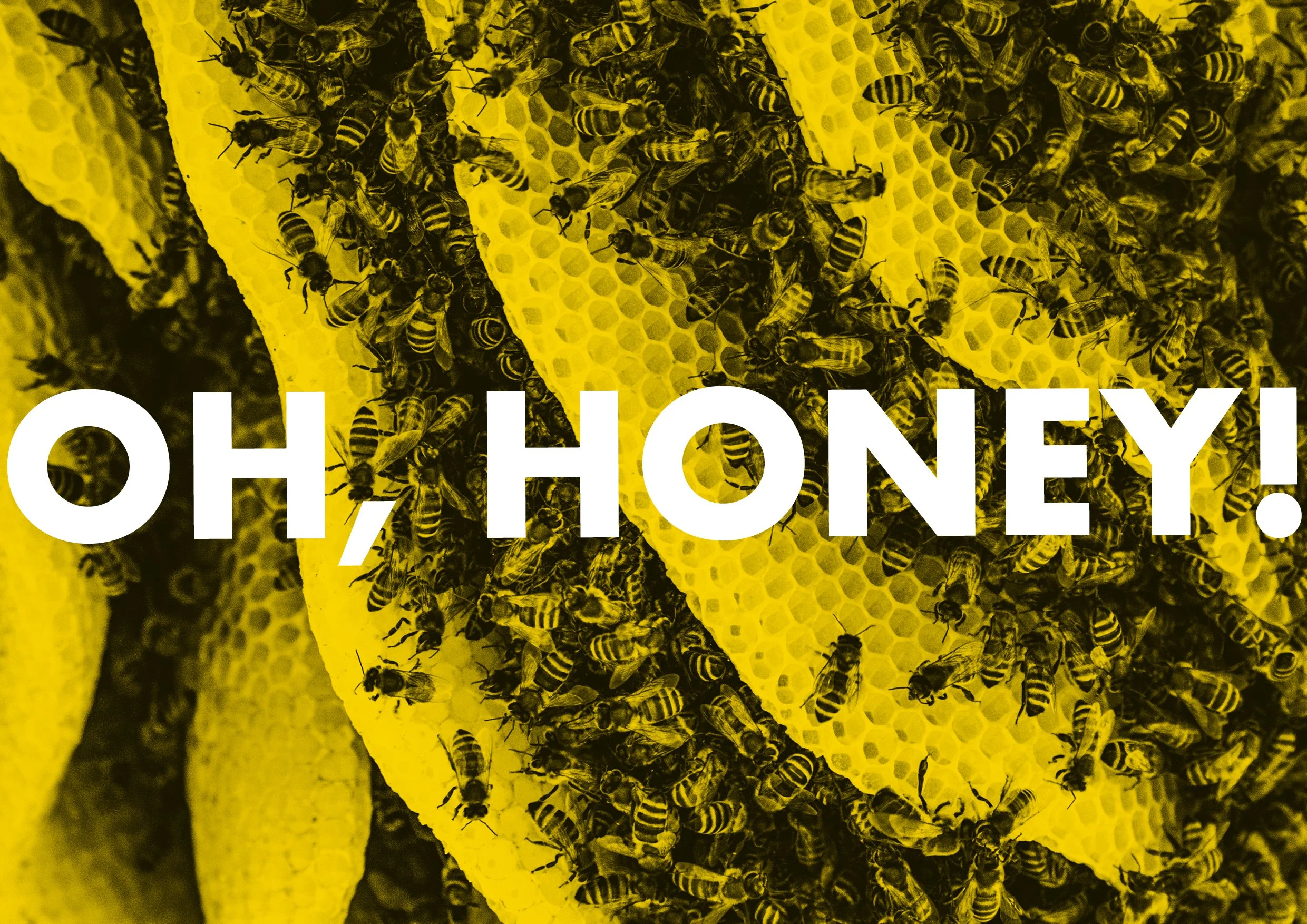 to bee or not to bee4.jpg