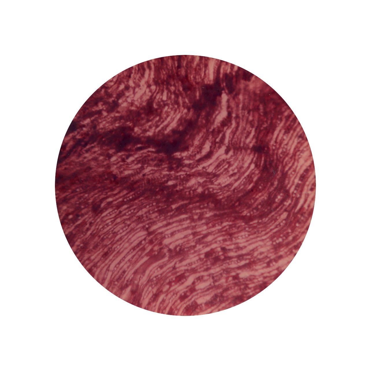 THE SUN_16.jpg