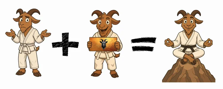 BJJ Transformation - From Confused to Zen Master