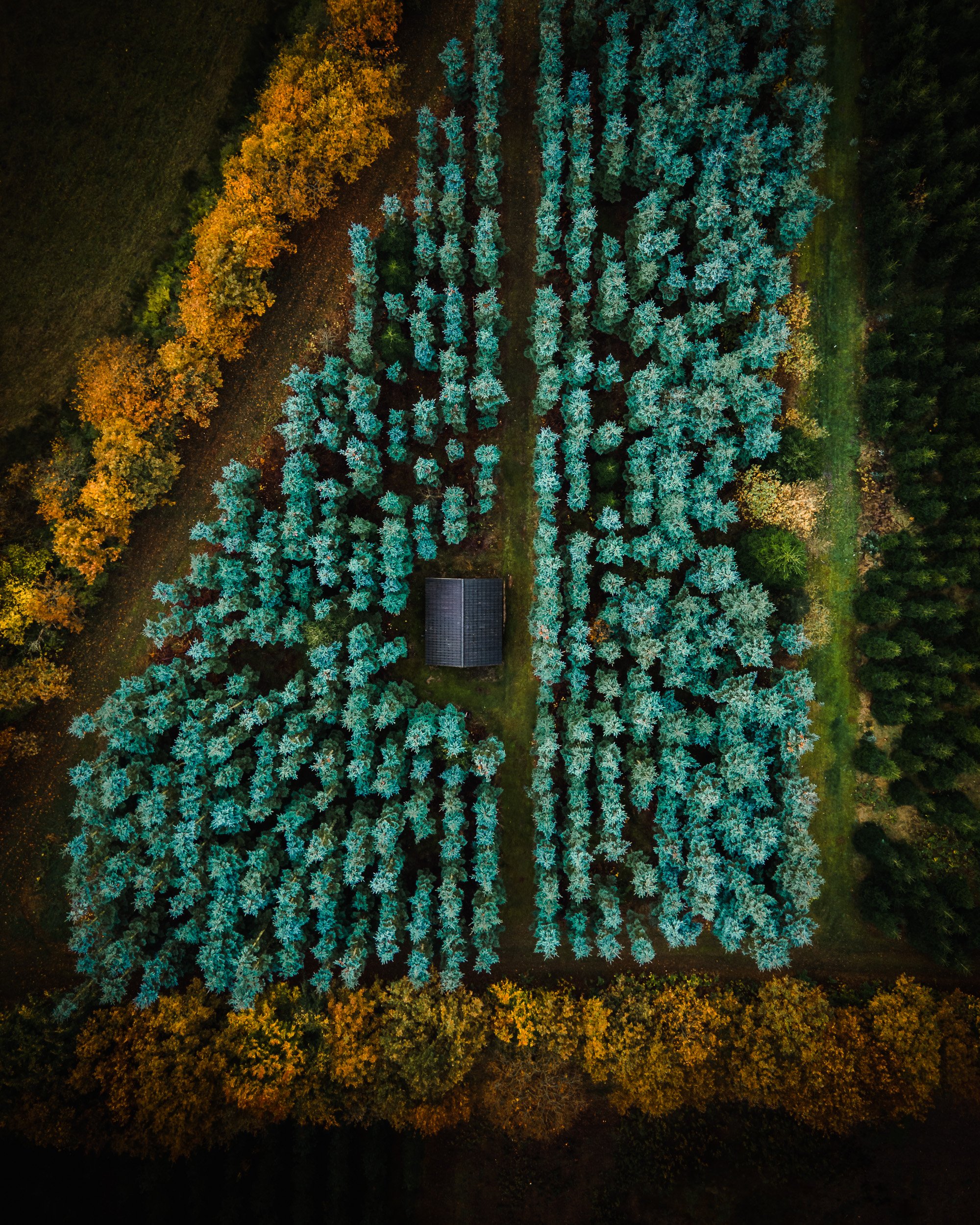 DJI_0035.jpg