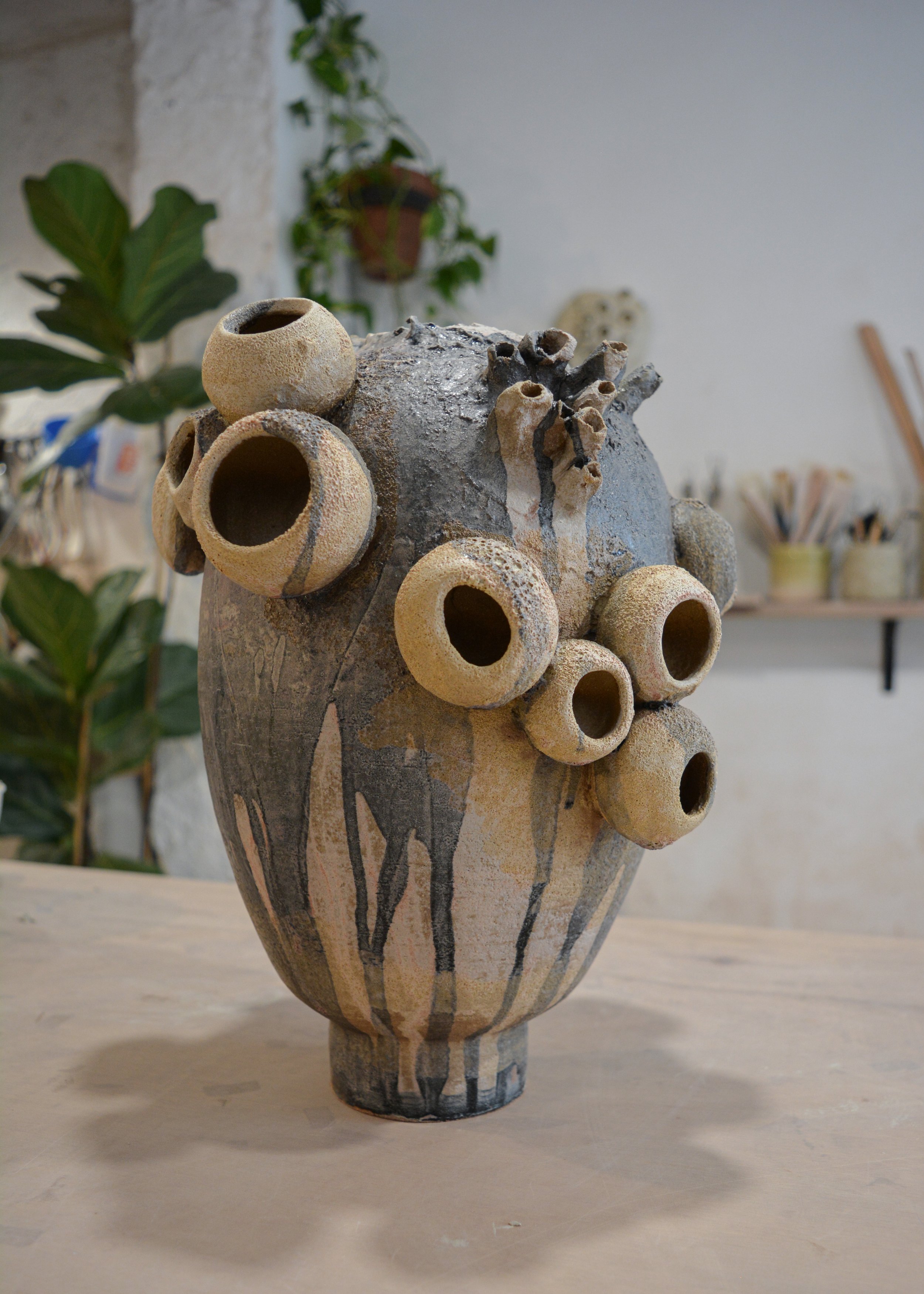 DSC_0041 1 copia.jpg