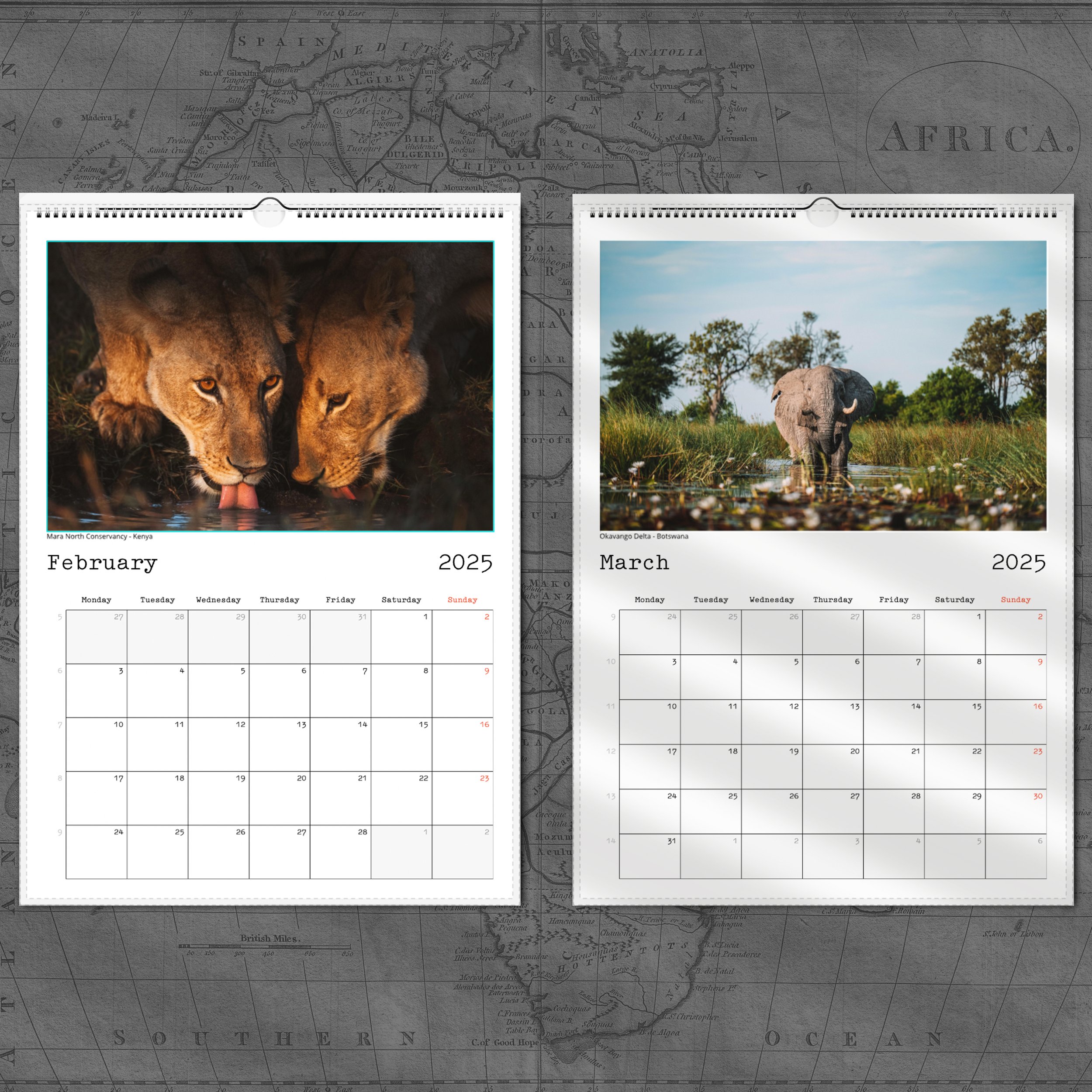 A4 Feb:March Page 2.jpg