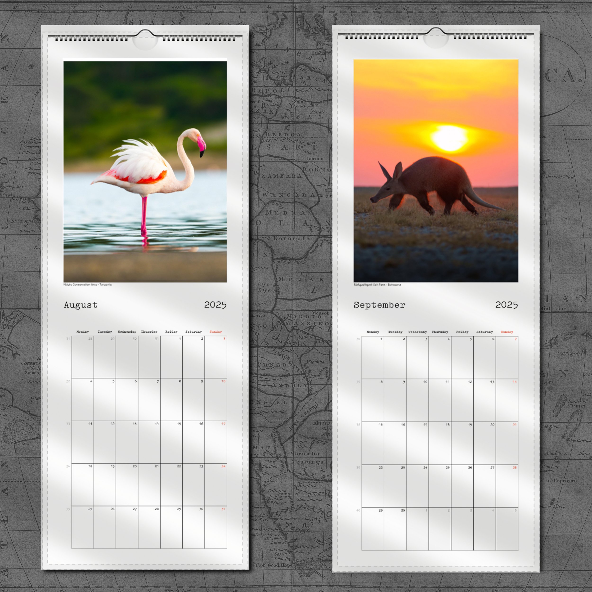 August:September Vertical.jpg
