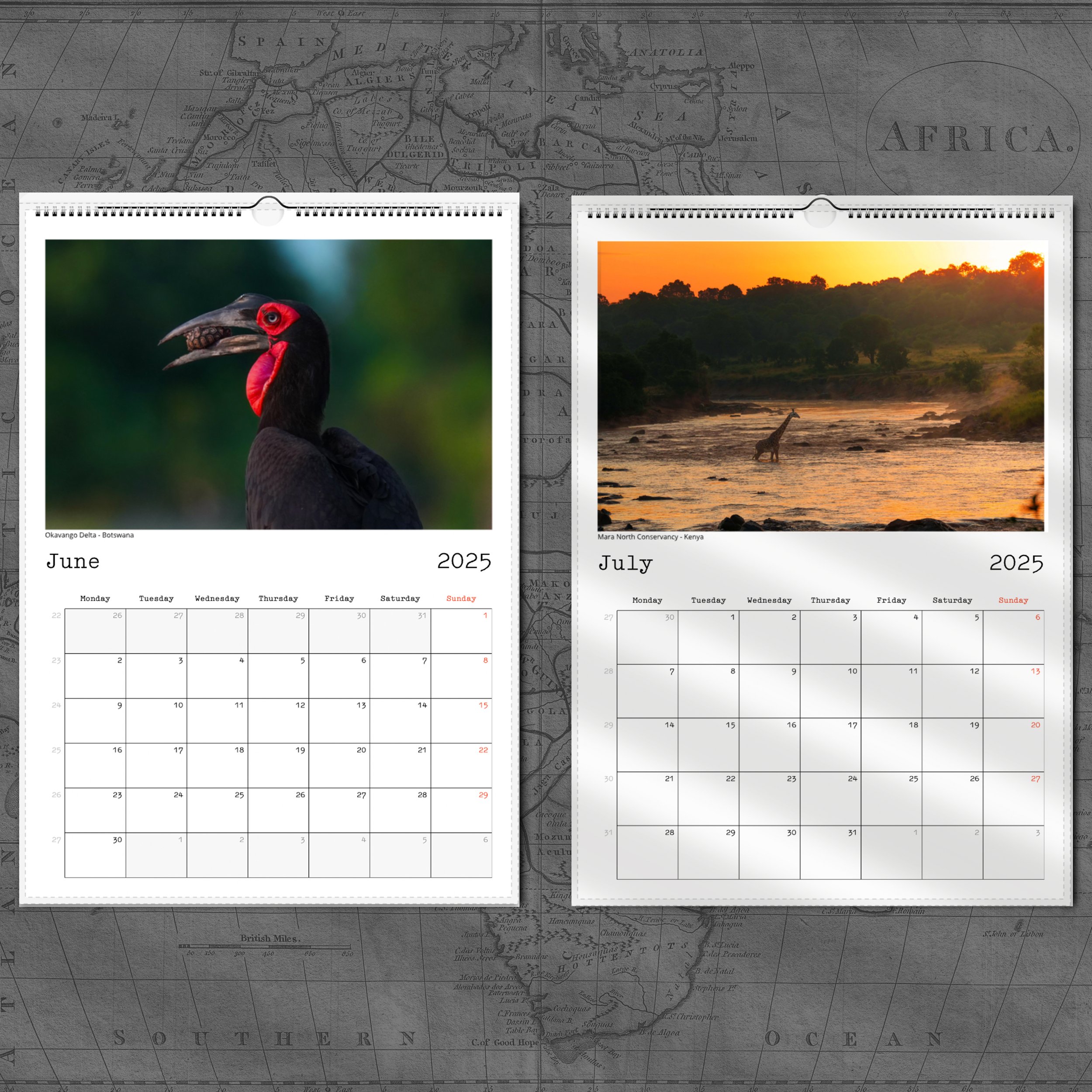 A4 June:July page 4.jpg