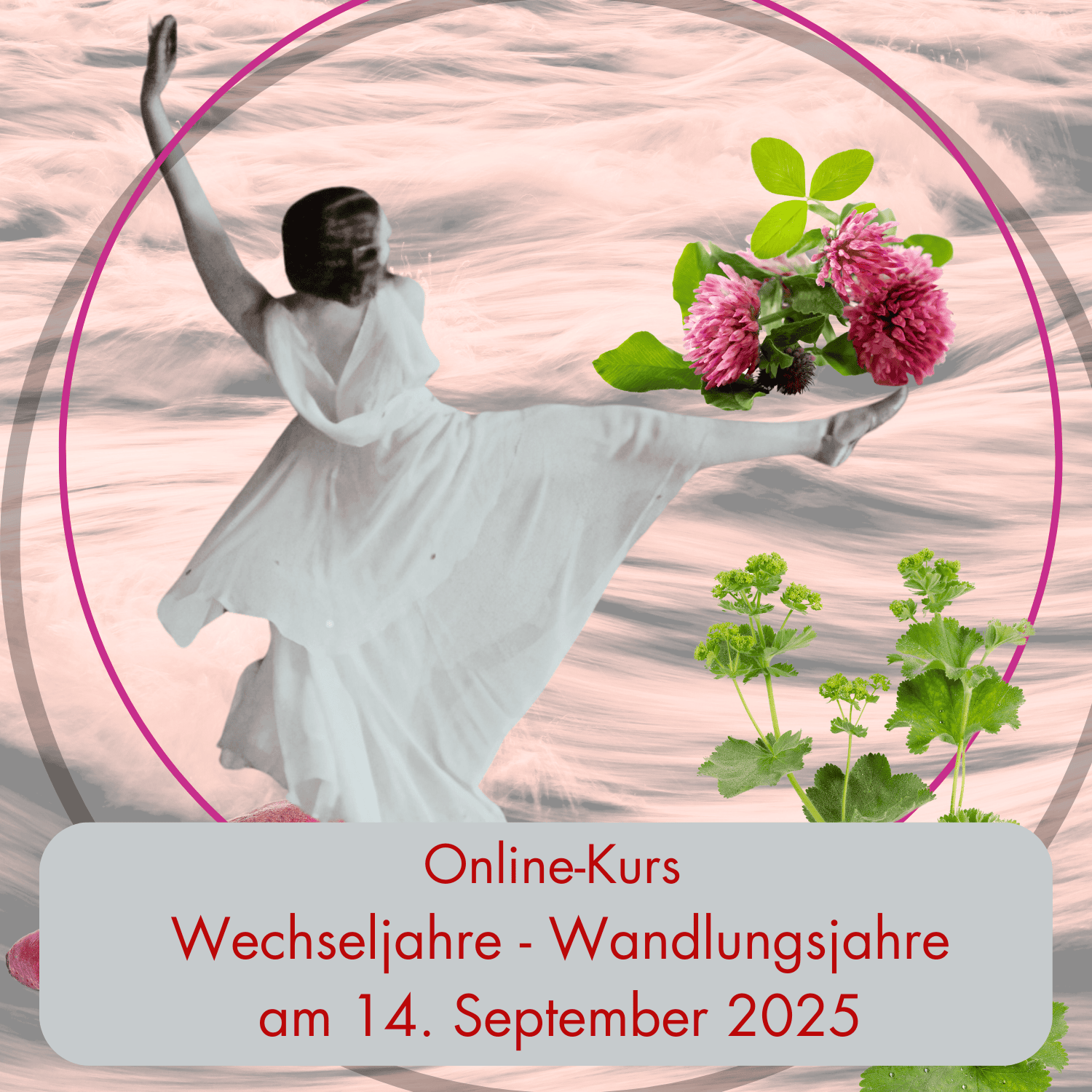 Wechseljahre - Wandlungsjahre