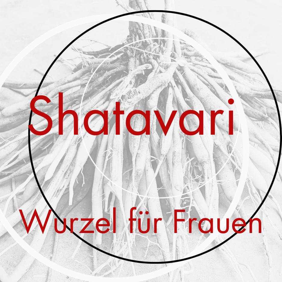 Shatavari