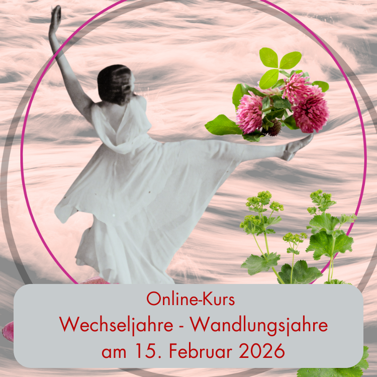 Wechseljahre - Wandlungsjahre