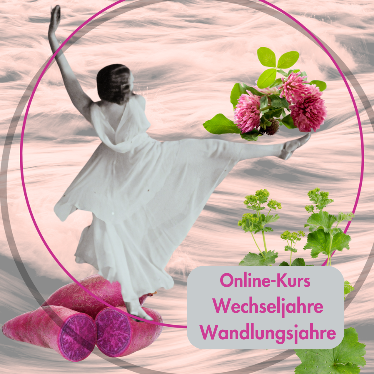Wechseljahre - Wandlungsjahre 