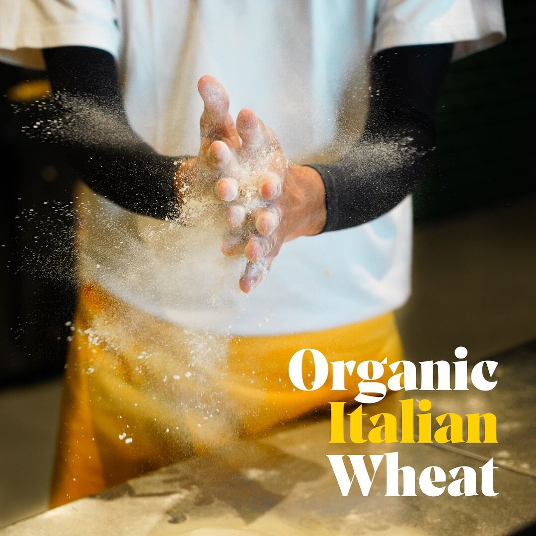 Why is Organic dough better?

It's not just a fad 🙅🏼&zwj;♀️

Organic dough means no pesticides and no GMOs. 

Resulting in a healthier and more nutritious pizza base ✅

And most importantly, a much tastier Pizza 👌🏼

#LopoPizzeria #DubaiPizzas #Do