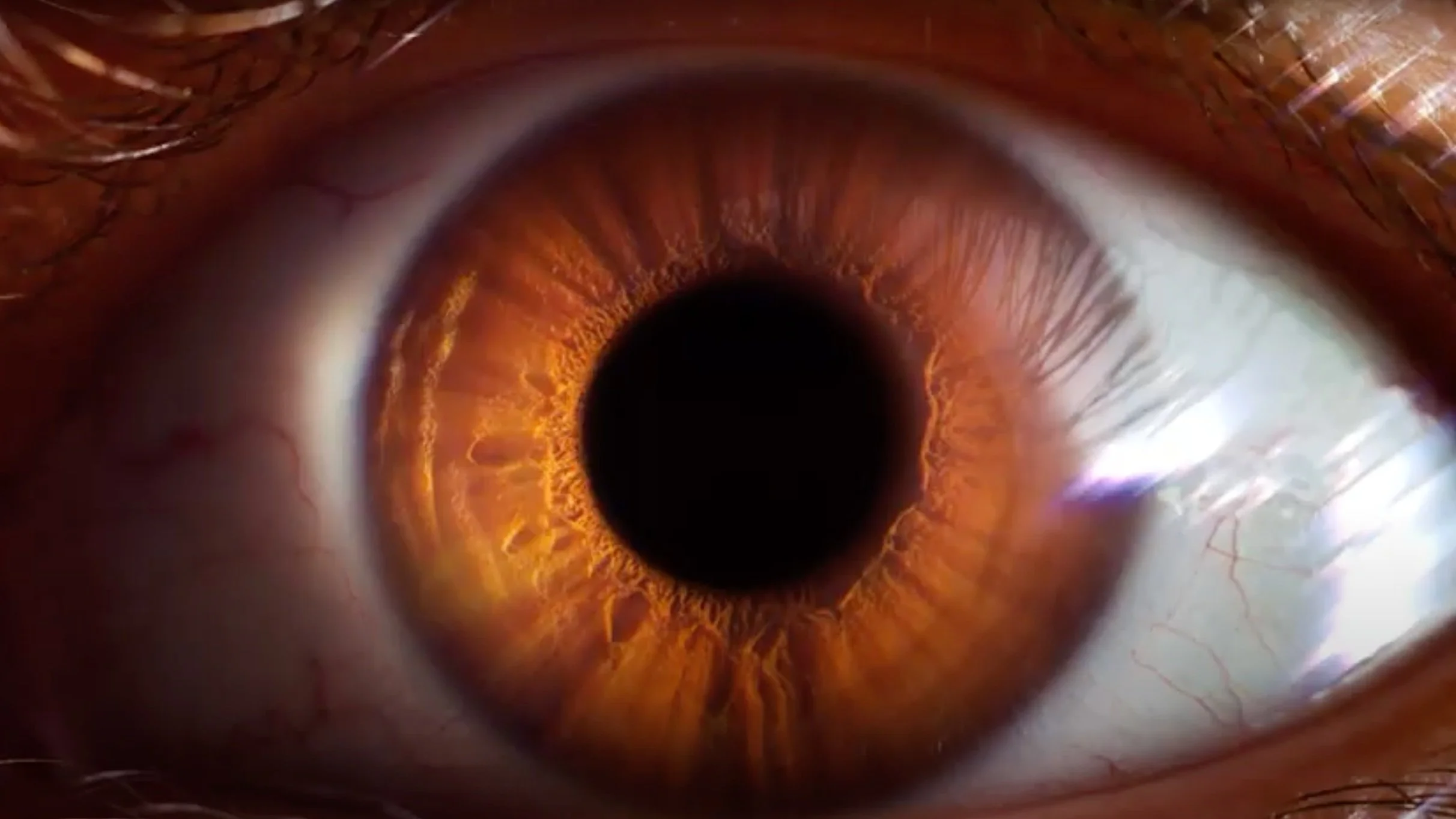 MISSION OLD BREWERY – IL FAUT Y CROIRE POUR LE VOIR