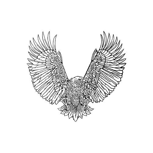FANDR eagle emblem