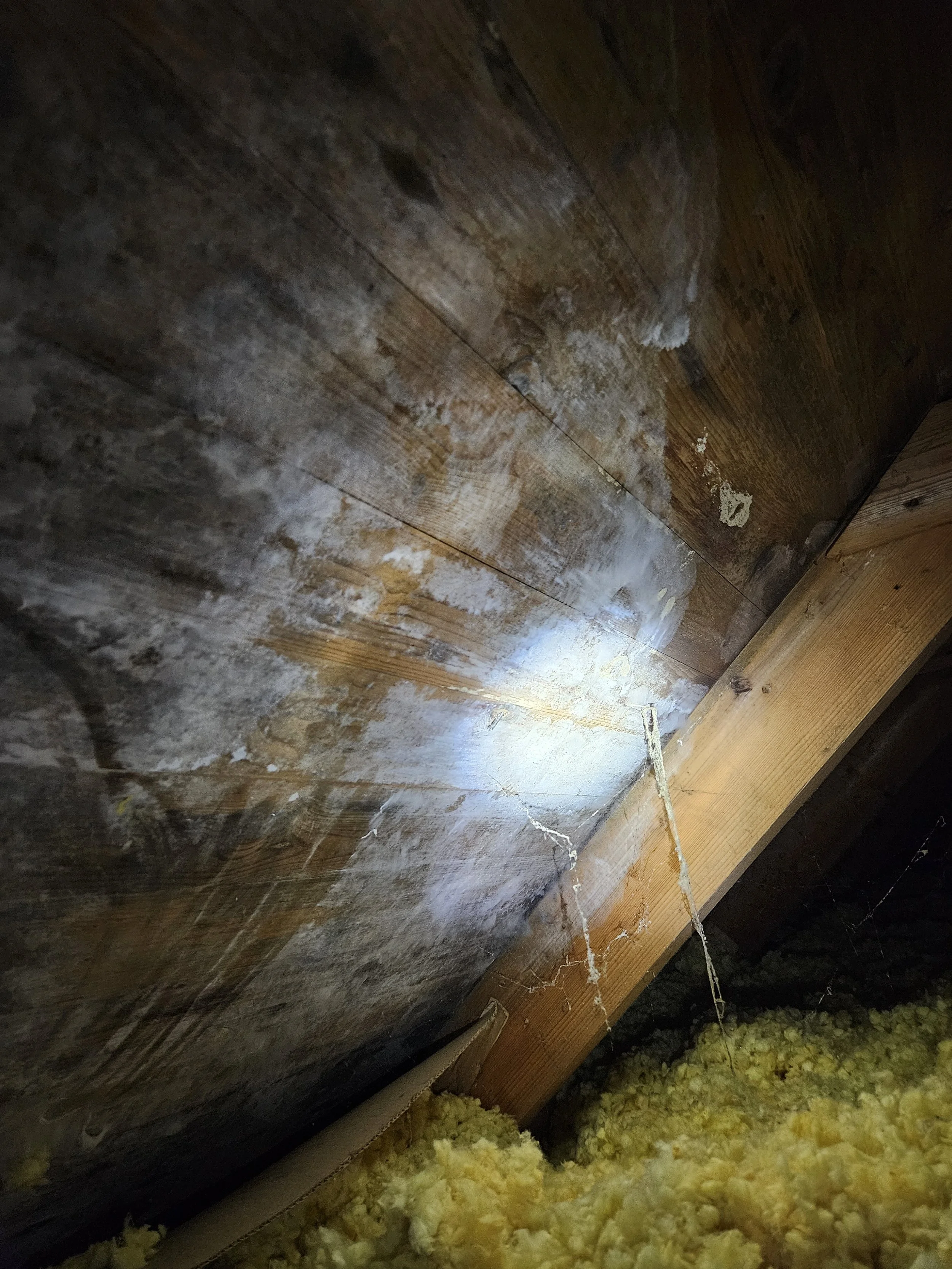 Varför har jag fukt- och mögel på min kallvind?