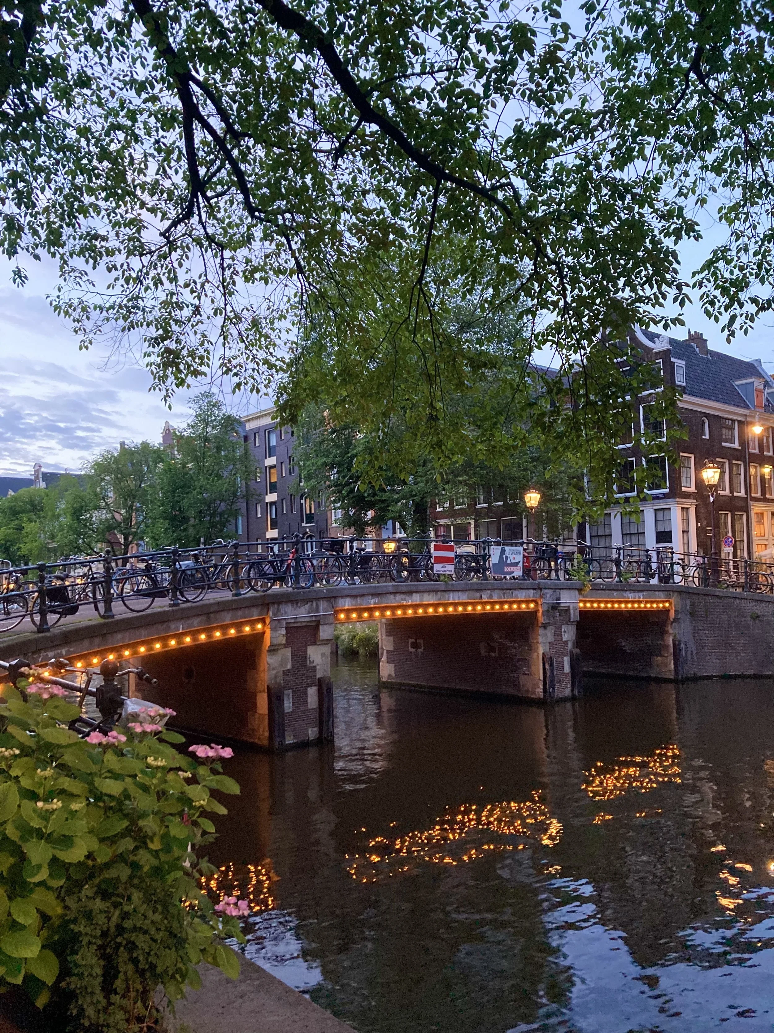 A canal with a small arched bridge illuminated by string lights, lined with bicycles and historic buildings with street lamps, trees, and twilight sky in the background.