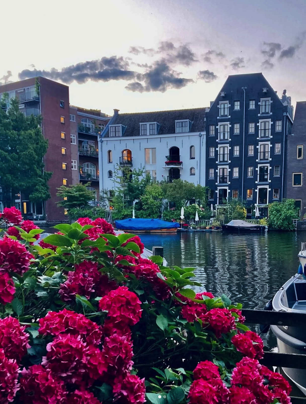 Colorful waterfront scene with pink hydrangeas in the foreground, calm water with moored boats, and tall historic buildings under a cloudy sky.