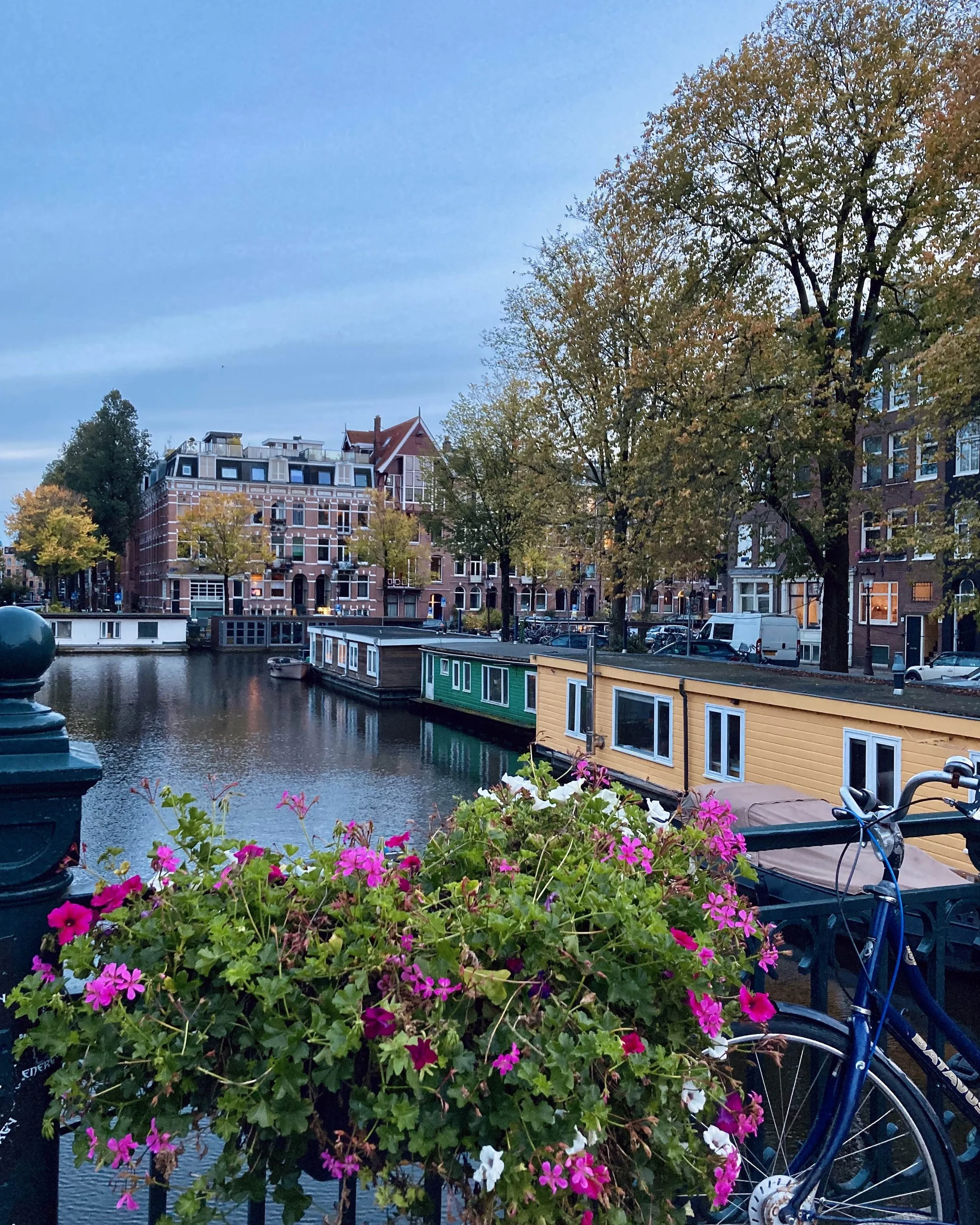 View of a canal with colorful houseboats and buildings, surrounded by green trees and pink flowers in the foreground, with a blue bicycle parked nearby.