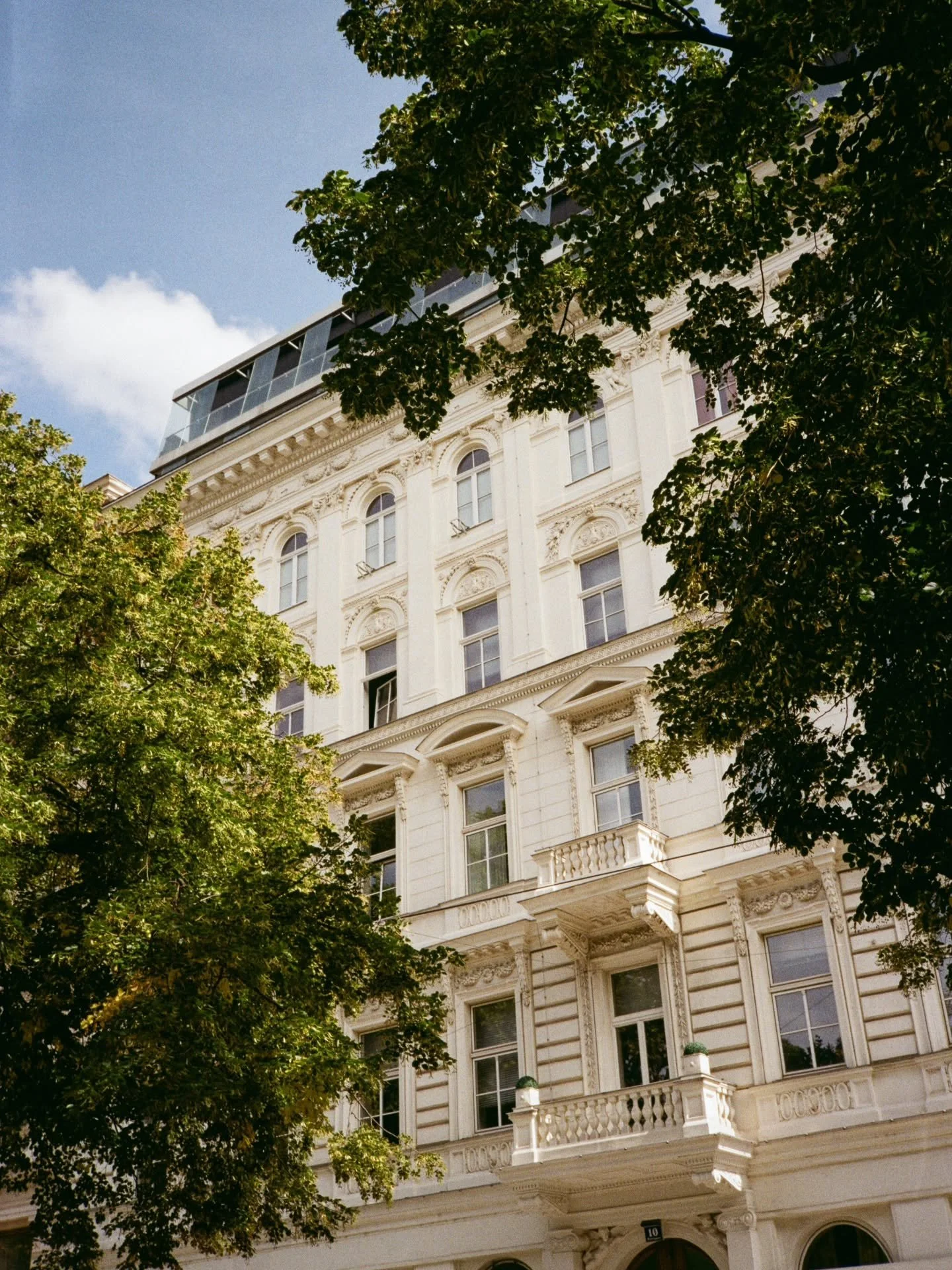 A little mix of things I love, captured on film last summer. ☀️🎞
Can&rsquo;t wait for my camera roll to look like this again. :)