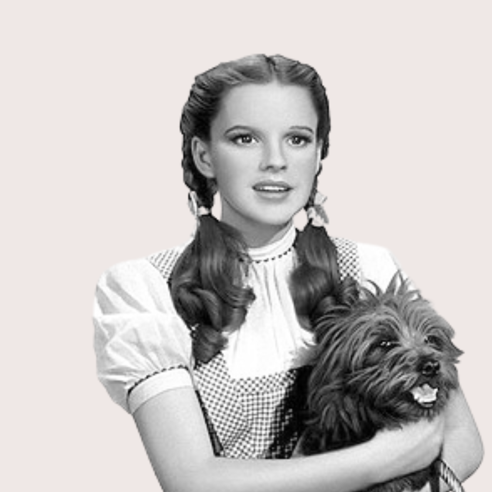 A woman with long, curly hair in pigtails and a checkered apron holding a small, fluffy dog. Confidence development and self-esteem courses