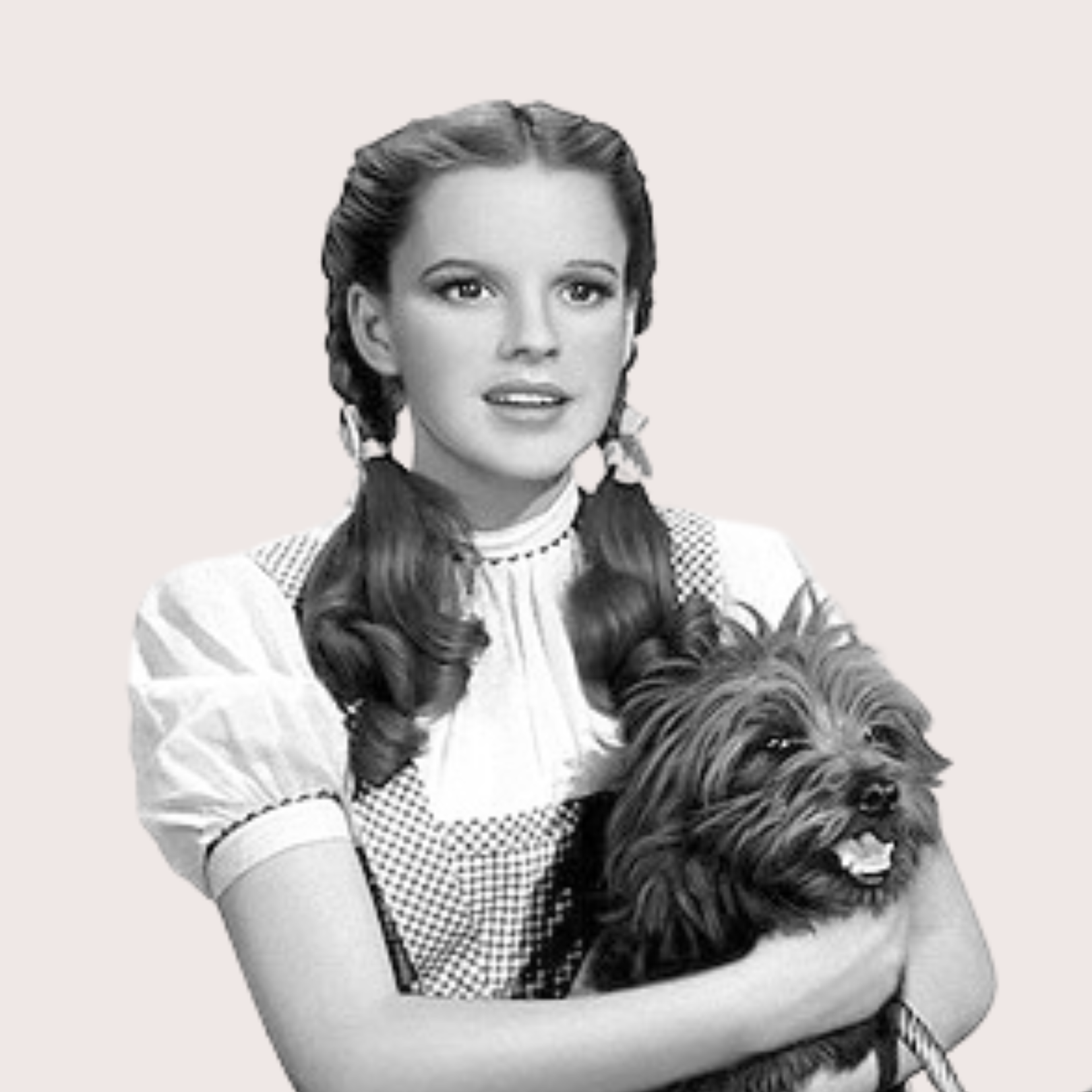 A woman with long braided hair holding a small fluffy dog, both looking slightly to the side. confidence program for women