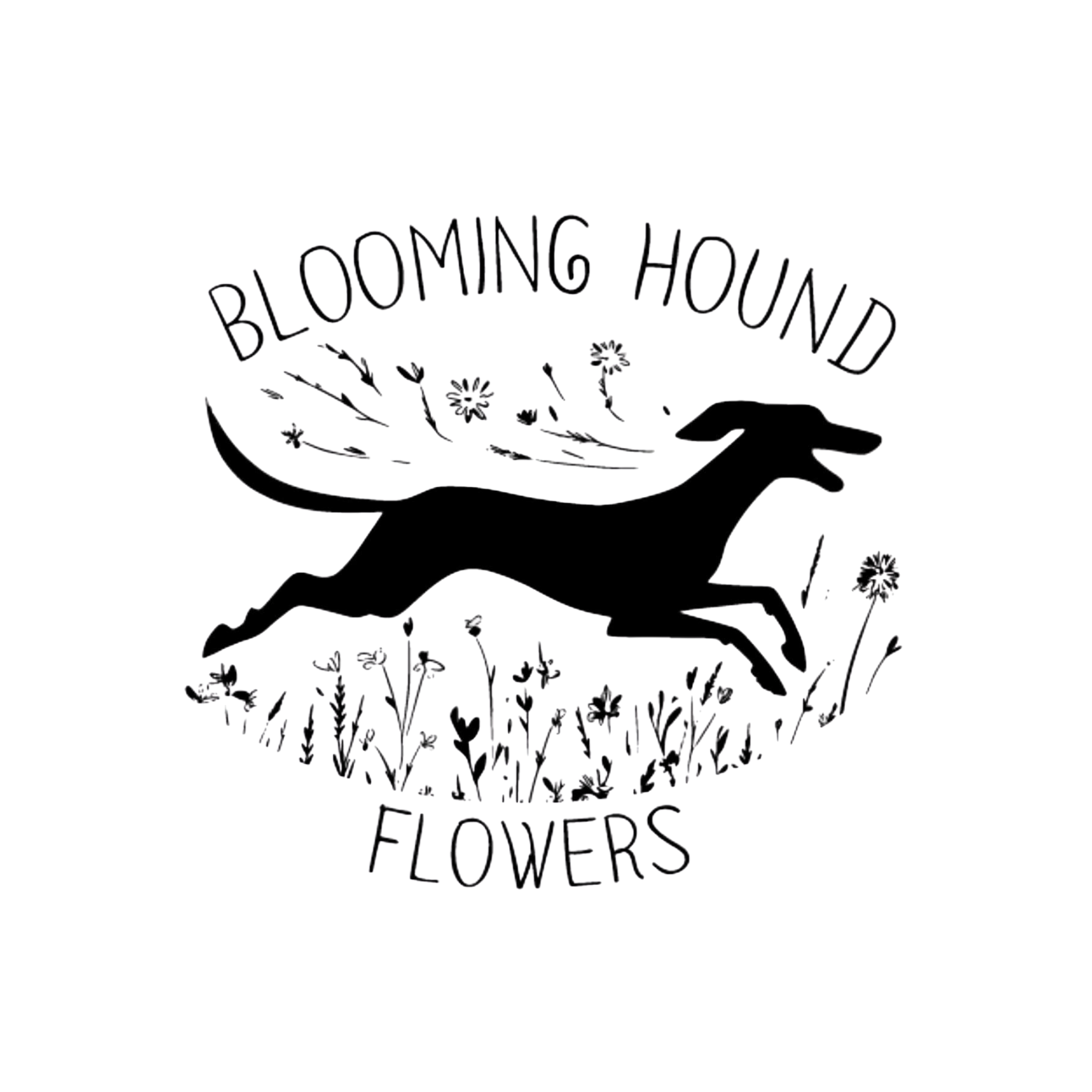 Blooming-hound-flowers.png