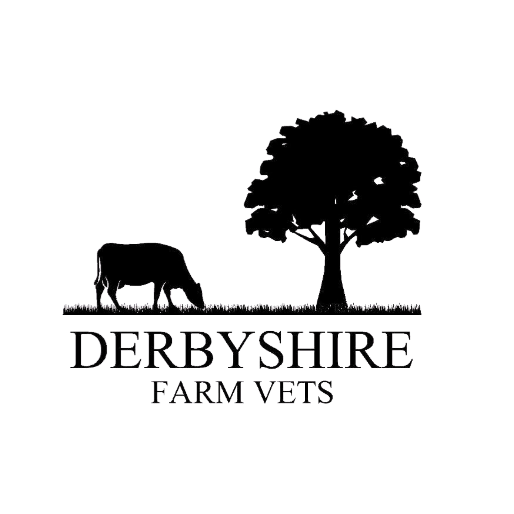 DFV transparent.png
