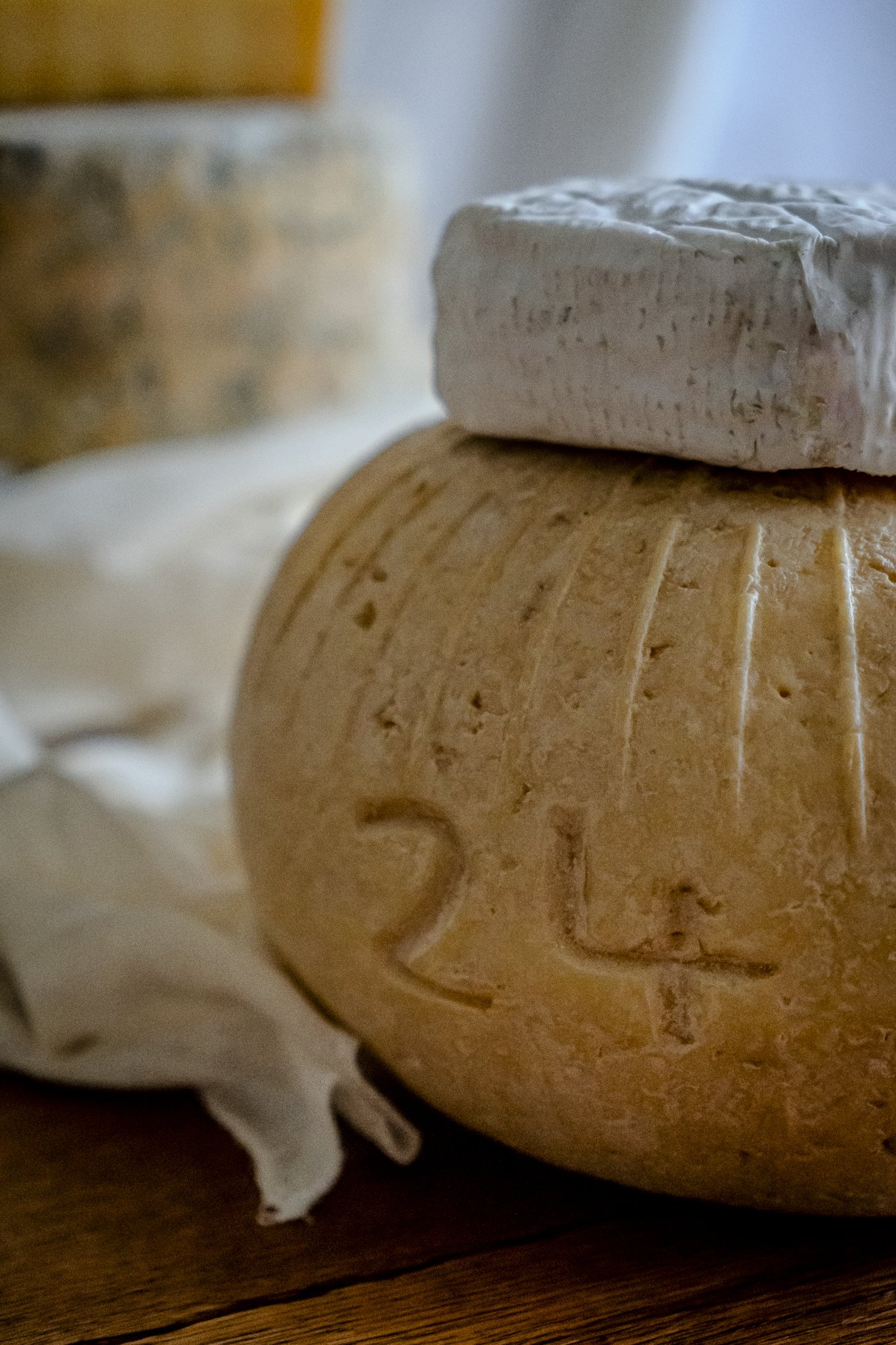 Fine Cheesemakers of Scotland-48.jpg