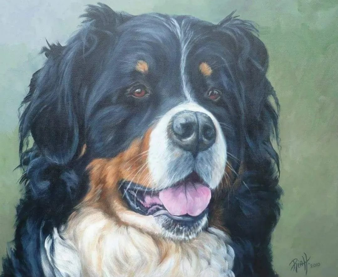 Boes, acrylverf op doek 50x60cm.