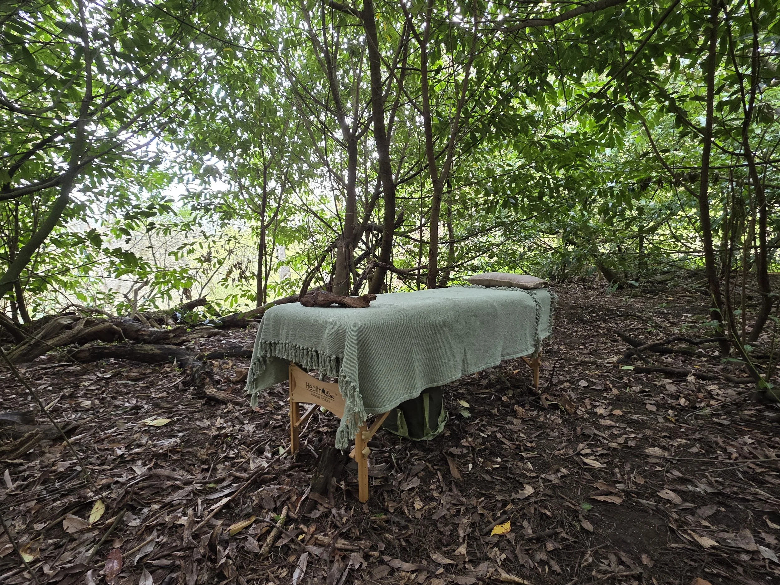 Reiki Research: Benefits, Boundaries and Why Honesty Matters