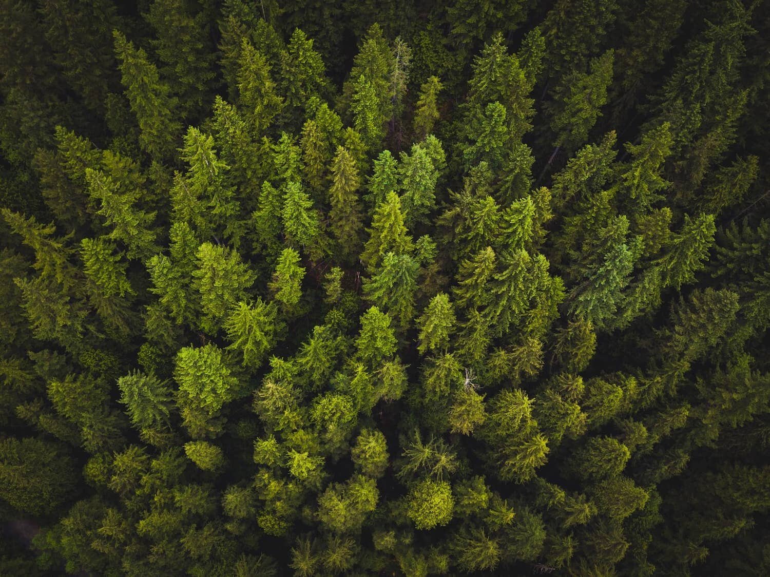SUSTAINABILITY